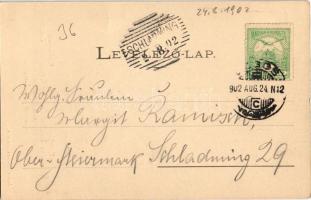 1902 Lugos, Lugoj; Megyeháza. Nemes Kálmán kiadása / Casa Comitatului / Comitatshaus / county hall