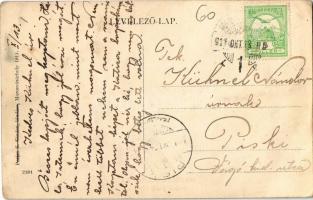 1911 Marosvásárhely, Targu Mures; Erzsébet kert. Porjes S. Sándor kiadása / park (EK)