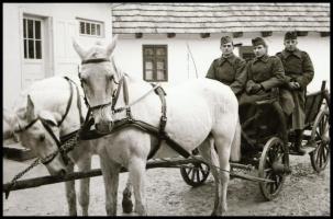 cca 1939-1945 II. világháborús katonai negatívok