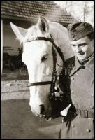 cca 1939-1945 II. világháborús katonai negatívok