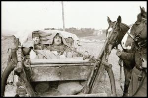 cca 1939-1945 II. világháborús katonai negatívok