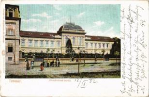 1902 Temesvár, Timisoara; Józsefvárosi zárda. Polatsek kiadása / Iosefin nunnery (EB)