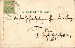 1906 Temesvár, Timisoara; Losonczy tér és hetivásár, piac, Rech János üzlete. Káldor Zs. és Társa ki...