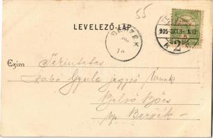 1905 Temesvár, Timisoara; Szent György tér, villamos, Varneky A. üzlete. Polatsek kiadása / square, ...