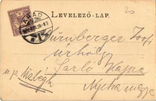 1901 Arad, Maros-part. Römmler & Jonas / Marosufer / Mures riverside (EK)