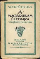 1917 Szekfű Gyula: A magyar állam életrajza, Dick Manó kiadás, Az előszó első 14 oldal hiányzik, a kötés elvált