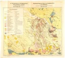 cca 1900 Tatabányai Szénmedence bányaföldtani térképe, készítette: Rozlozsnik Pál, 1:12 500, 70×77,5 cm