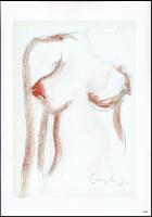 Czapolai Imre (1937-): Színes modell II. Művészi nyomat, papír, ceruzával jelzett, életmű katalógus szám: 2004, lapméret: 29,5x21 cm
