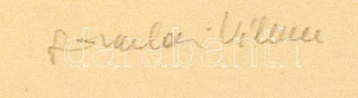 Somlai Vilma (1938-2007): Őszi alma. Színes linómetszet, papír, jelzett, számozott (86/100), hátolda...