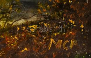 MCP jelzéssel: Vízparti táj. Olaj, farost. 34x27,5 cm