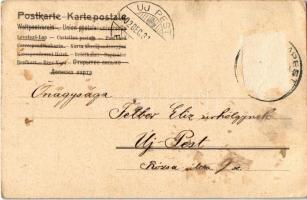 1902 Boldog Újévet! / New Year greeting art postcard, lady riding a pig. Art Nouveau, litho s: Heged...