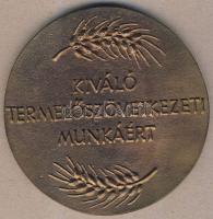 DN "T.O.T. - Kiváló termelőszövetkezeti munkáért" nagyalakú Br plakett + hozzávaló zománcozott kitűző T:1 Eredeti díszdobozban!