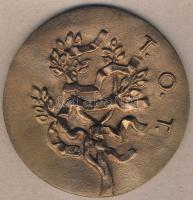 DN "T.O.T. - Kiváló termelőszövetkezeti munkáért" nagyalakú Br plakett + hozzávaló zománco...