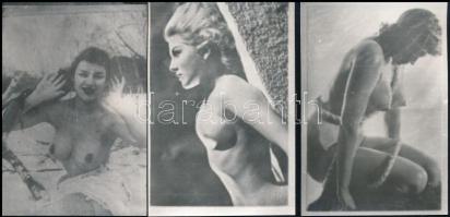 10 db retró erotikus fotó, 9,5×6,5 cm