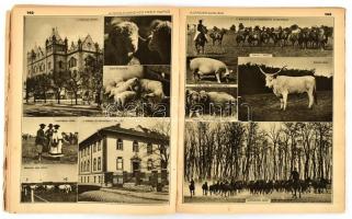 1930 A nyolcvanéves Pesti Napló ajándékalbuma. 1850-1930. Bp., Athenaeum, 240 p. Rendkívül gazdag fe...