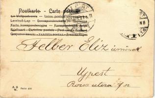 1905 Húsvéti üdvözlet / Easter greeting card, lady with chicken. A.S.W. Serie 408. (Rb)