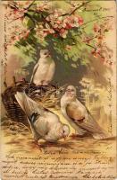 1905 Romantic greeting card with doves. Emb. litho (Rb)