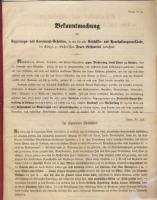 1858 Tűzoltószer reklámnyomtatvány, leírással, újságcikkekkel, megrendelővel 12 oldal német nyelven / Advertising material of fire-extinguisher material on 16 pages with articles, order form