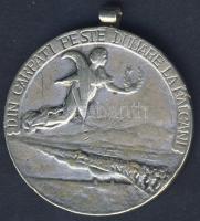 Románia 1913. "Balkánháború" katonai emlékérem" T:2/3