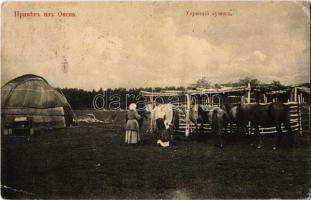 1914 Omsk, Russian folklore, morning kumis (koumiss) (EB)