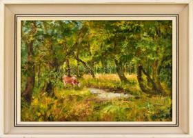 H. Molnár Magda (1935-): Pocsolyás víz. Olaj, farost, jelzett. Hátoldalán autográf felirattal. Fa ke...