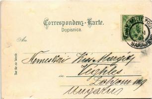 1903 Sarajevo, Rathaus / town hall, bridge. Verlag v. Albert Thier (EK)