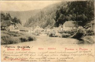 1901 Planina (Postojna), Malne / Mühltal / watermills (EB)