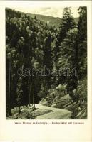 Radnaborberek, Valea Vinului; Borberektal mit Corongis / Borberek-völgy a Korongyos csúccsal. G. Zikeli kiadása / mountain peak, valley
