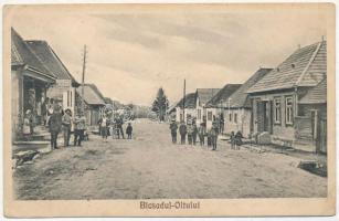 Sepsibükszád, Bikszád, Bicsadul-Oltului, Bixad; utca, Dávid Gyula (Iuliu David) féle szálloda és étterem, üzlet, kerékpár / street view, hotel, restaurant, shop, bicycle (r)