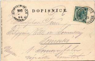 1902 Lázne Luhacovice, Colonáda / spa, bath (EK)