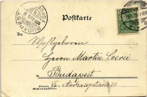 1900 Rolanseck (Remagen), general view. F. Szesztokat Art Nouveau, floral, grapes, litho (EK)