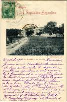 1901 La Plata, El Museo / museum. TCV card (EK)