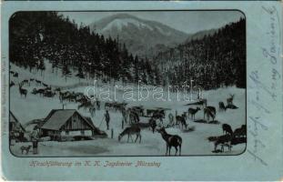 1908 Mürzsteg (Steiermark), Hirschfütterung im K.K. Jagdrevier / deer feeding at the royal hunting ground (Rb)