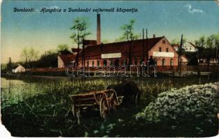 1915 Dombóvár, Hungária a dombóvári vajtermelő központja (EM)