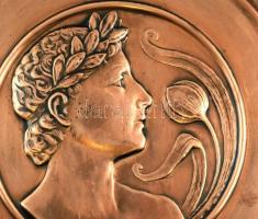 Bronz fali dísztál, d: 43,5 cm