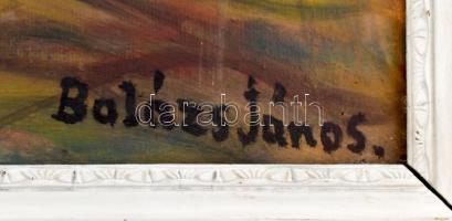 Balázs János jelzéssel: A szárnyaló teknős. Olaj, vászon, javított. Fa keretben, 55,5×68,5 cm