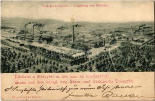 1900 Diósgyőr (Miskolc), M. kir. vas és acélgyár. Lővy József fia kiadása