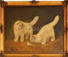 Mesterházy Dénes (?-): Macskák. Olaj, vászon, Jelzett, Keretben. 40x50 cm