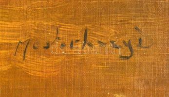 Mesterházy Dénes (?-): Macskák. Olaj, vászon, Jelzett, Keretben. 40x50 cm