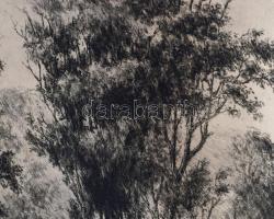 Paulovits Pál (1892-1975): Patak. Rézkarc, papír, jelzett, lap bal alsó sarka foltos. 31,5×43,5 cm