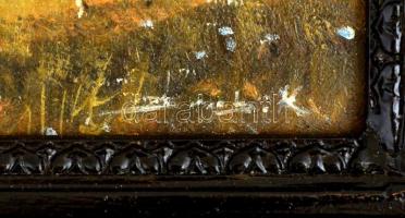 Olvashatatlan jelzéssel: Gólya a vízparton. Olaj, karton. Díszes fa keretben. 21×34,5 cm