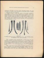 Cs.Sebestyén Károly: Rejtélyes csontok a népvándorláskori sírokban. Szeged, 1931,Somogyi-Könytár és ...