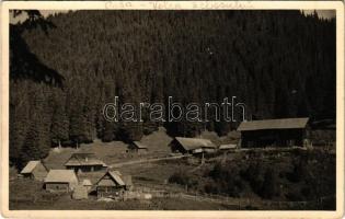 Sebes-völgy, Valea Sebesului; Oasa / látkép, kunyhók / general view, cottages