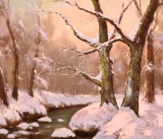 Neogrády László jelzéssel: Havas táj. Olaj, karton. Sérült fa keretben. 60x80 cm