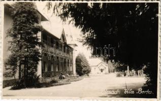 1936 Bikszád, Bicsad, Bixad; Vila Berta / villa. photo