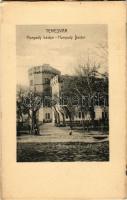 Temesvár, Timisoara; Hunyadi kastély és bástya / castle, bastion (képeslapfüzetből / from postcard booklet) (non PC) (ragasztónyom / glue marks)