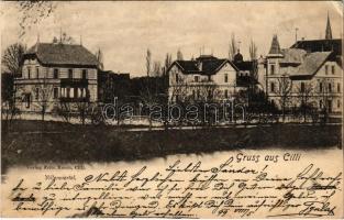 1899 (Vorläufer) Celje, Cilli; Villenviertel / villa quarter (EK)