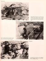 Hirosima-Nagasaki. A Pictorial Record of the Atomic Destruction. Tokyo, 1978, Hirosima-Nagasiaki Pub...