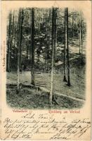 1899 (Vorläufer) Kirchberg am Wechsel, Waldandacht / Forest worship