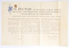 1927 M. kir. Erzsébet Tudományegyetem diplomája, pecséttel, aláírásokkal, okmánybélyeggel